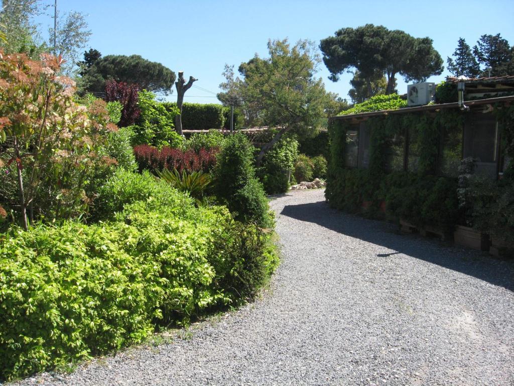 Country Apartments Castel di Decima ภายนอก รูปภาพ
