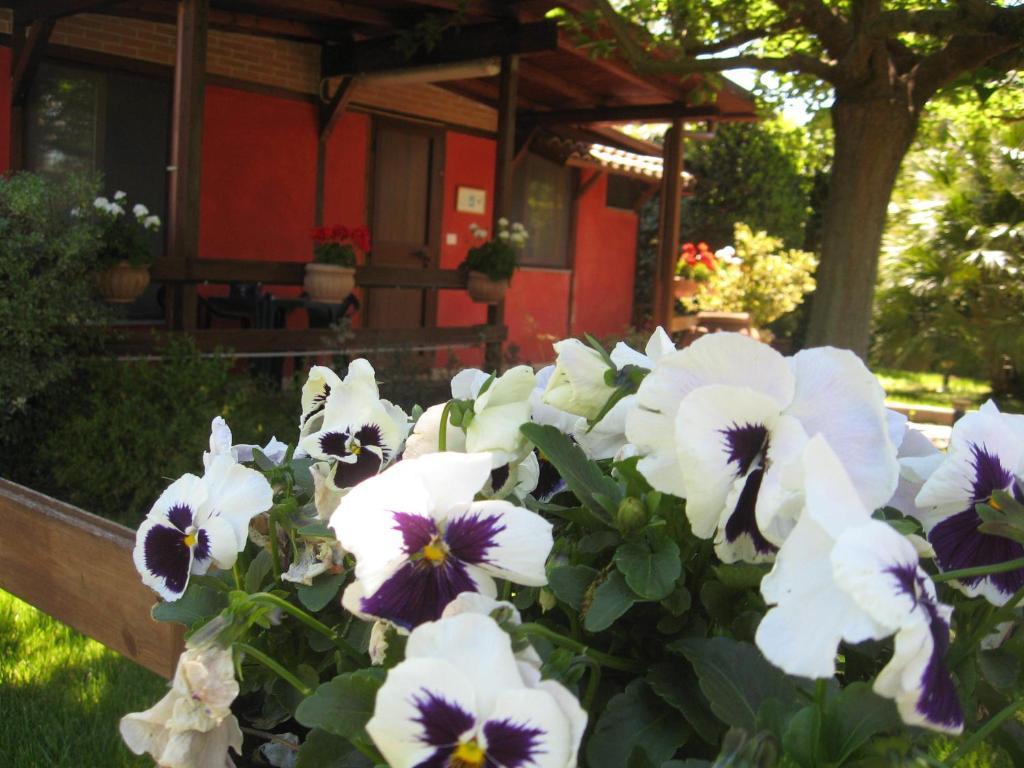 Country Apartments Castel di Decima ภายนอก รูปภาพ