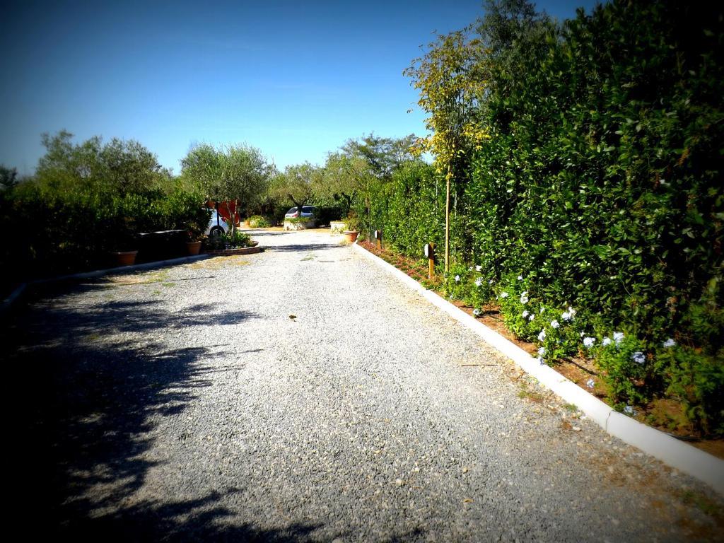 Country Apartments Castel di Decima ภายนอก รูปภาพ